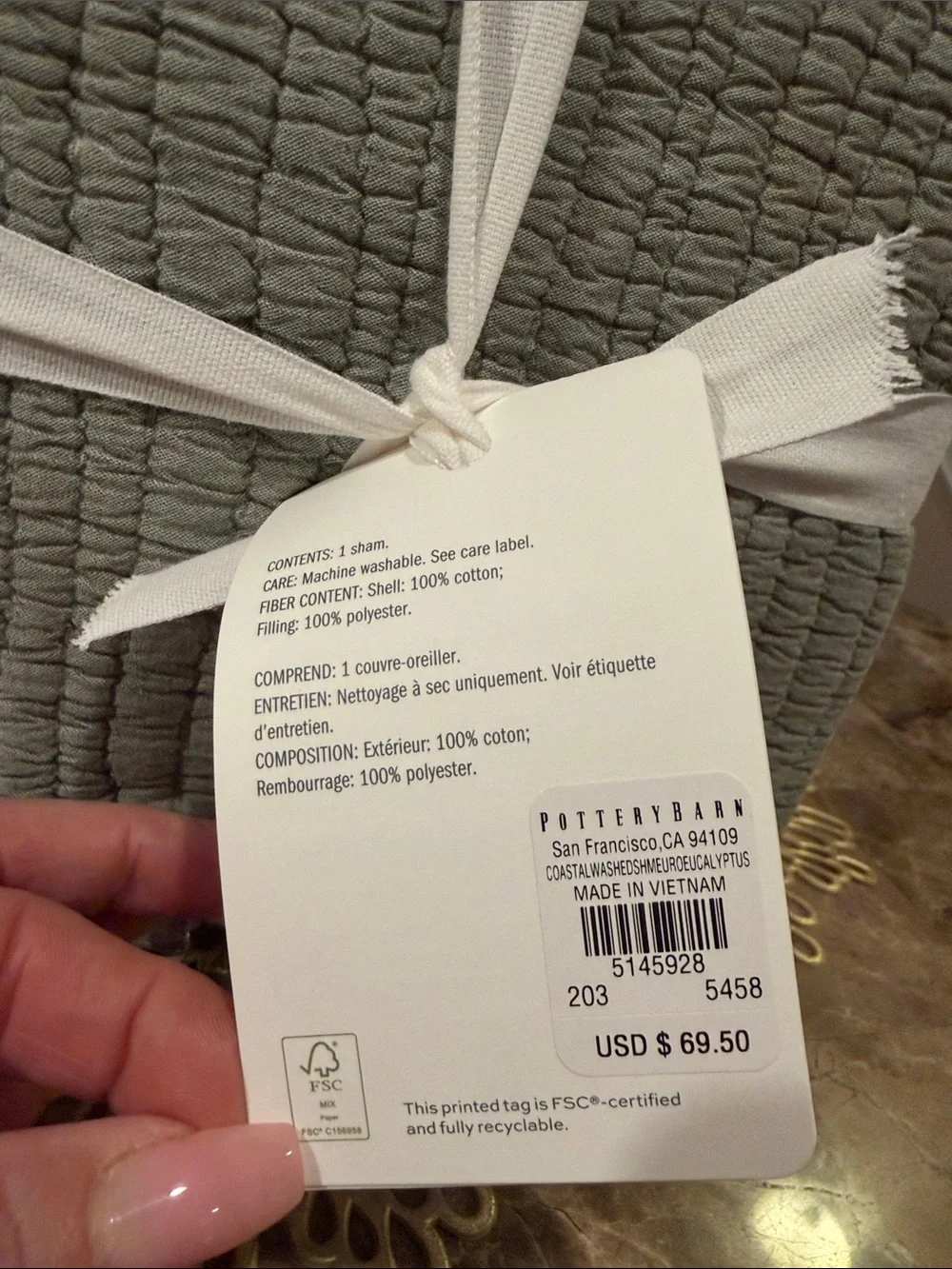 Pottery Barn Coastal Washed Euro Sham - Eucalyptus